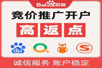 揭秘百度竞价排名：实战案例解析